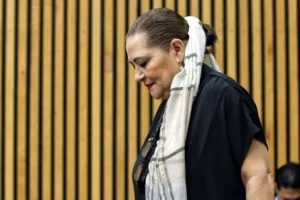 Renunciará Taddei al INE este lunes